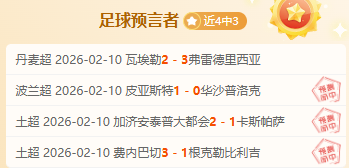 阿德萊德聯,中场球员澳,超賽事中受,VSports,V体育,V体育入口,V体育官网,V体育APP下载