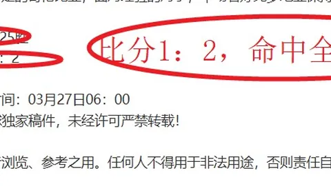 湖人内线球员虽奋勇争先，底薪地位与球权分配仍存遗憾？
